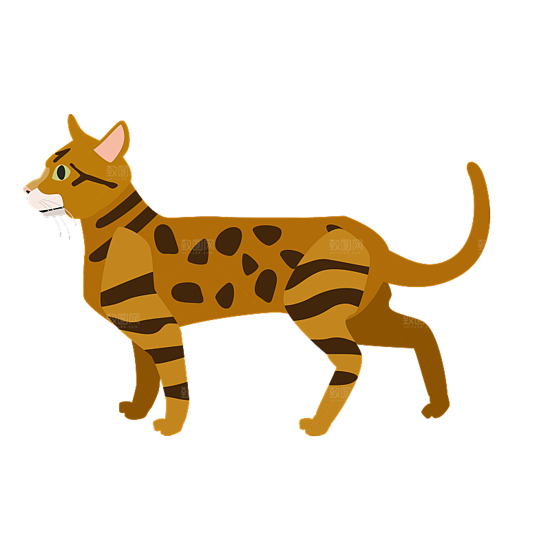 可爱卡通宠物猫咪插画手绘元素