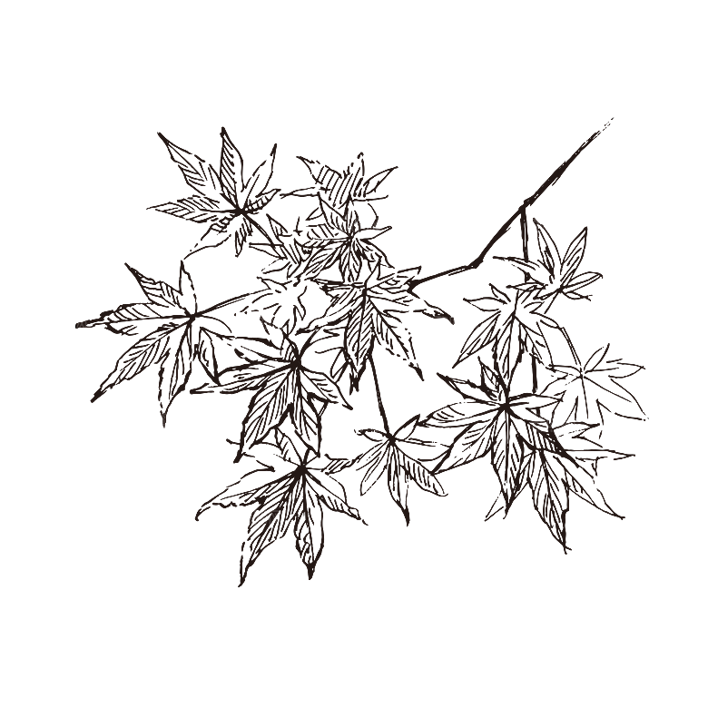 手绘中草药植物花卉元素