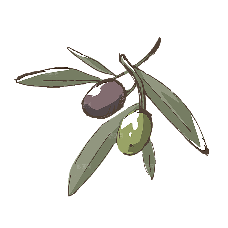 简约大气手绘植物花草树木插画