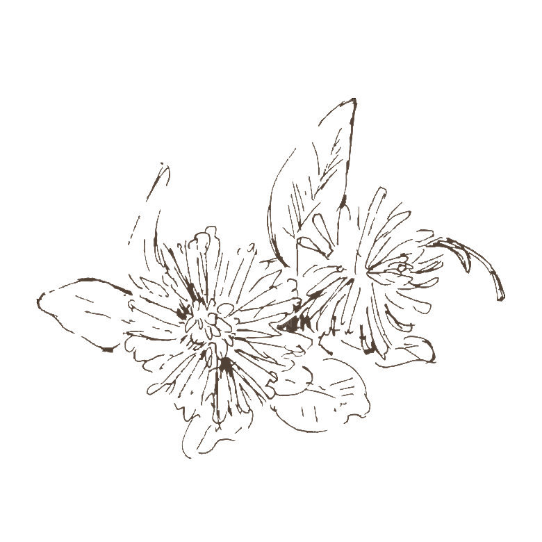 简约大气手绘植物花草树木插画
