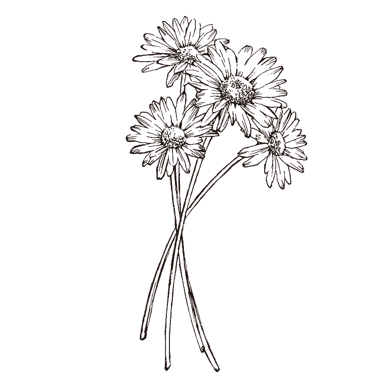 手绘中草药植物花卉免扣元素