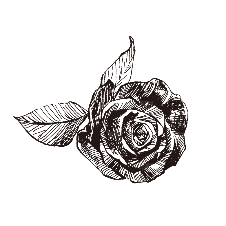简约大气手绘植树花草树木插画