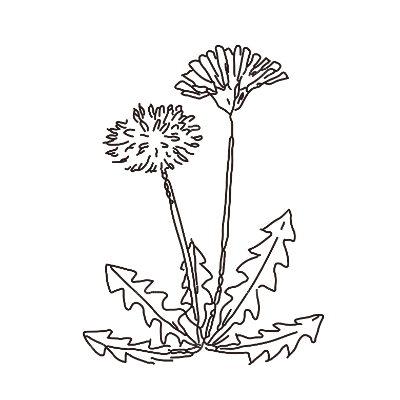 简约大气手绘植树花草树木插画
