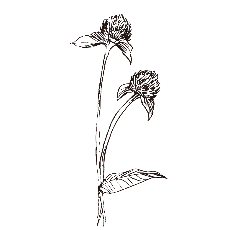 简约大气手绘植树花草树木插画