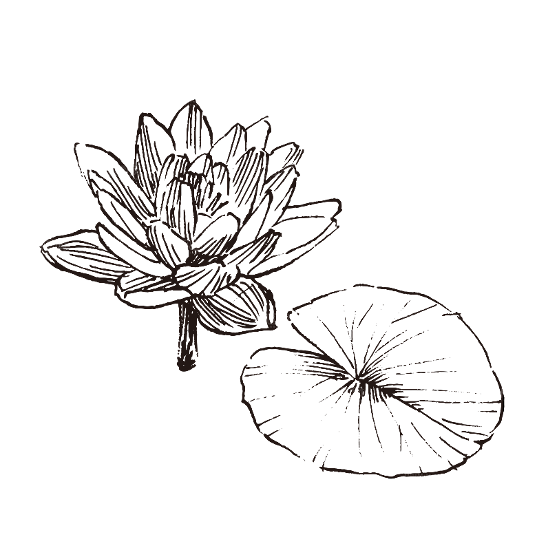 手绘中草药植物花卉免扣元素