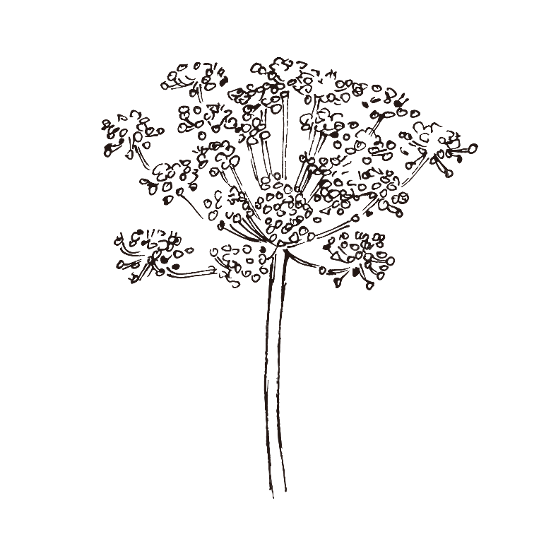 简约大气手绘植物花草树木插画