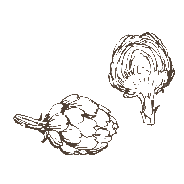 简约大气手绘植物花草树木插画