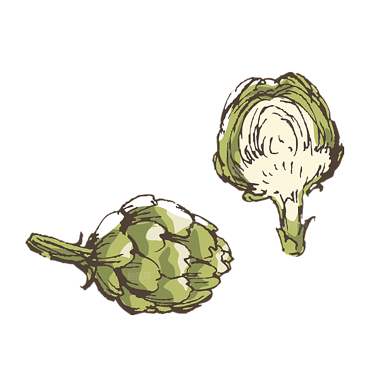 简约大气手绘植物花草树木插画