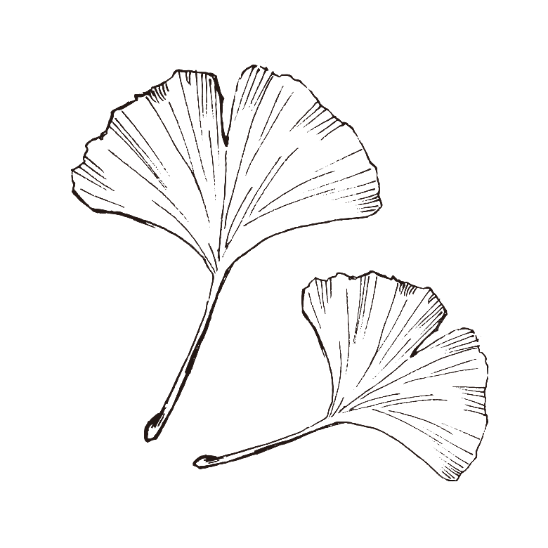 简约大气手绘植物花草树木插画