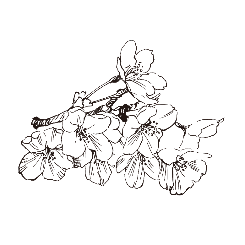 简约大气手绘植物花草树木插画