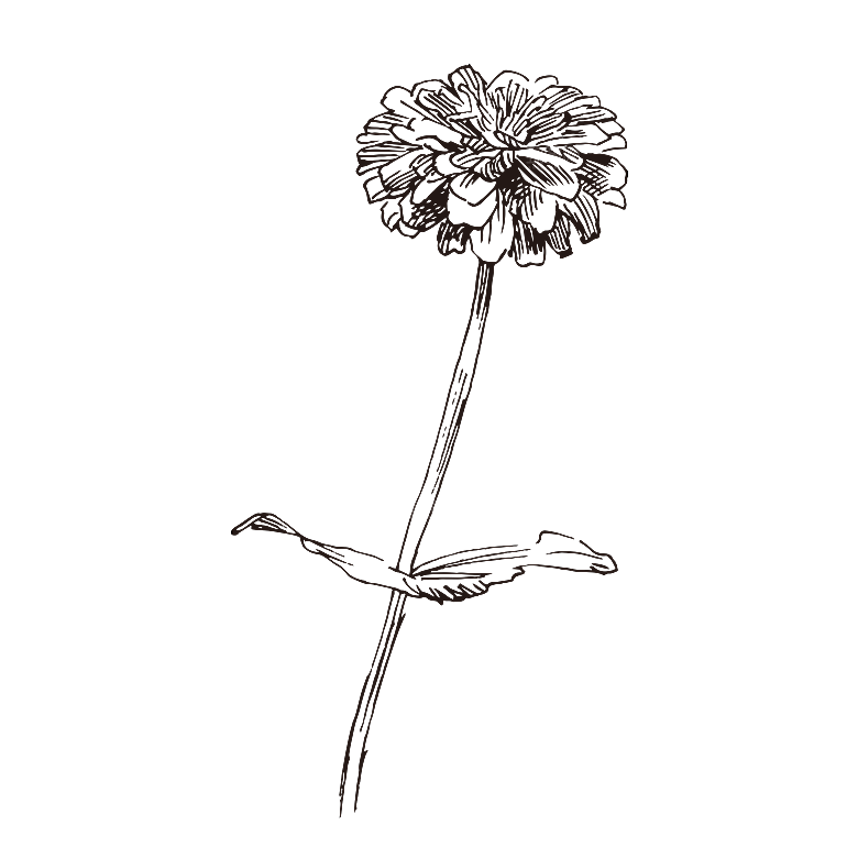 简约大气手绘植物花草树木插画