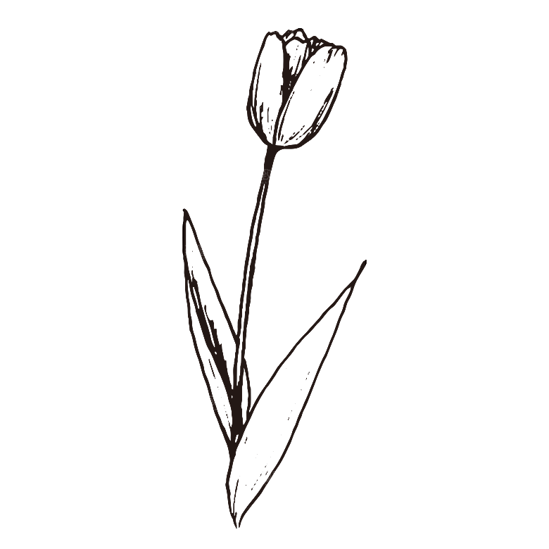 手绘中草药植物花卉免扣元素