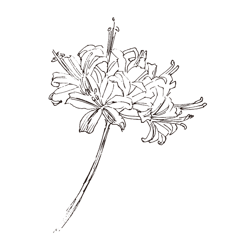 手绘中草药植物花卉免扣元素