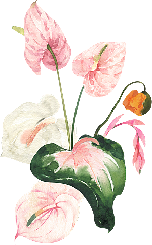 手绘植物花卉花朵复古元素