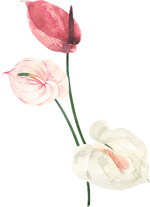 手绘植物花卉花朵复古元素