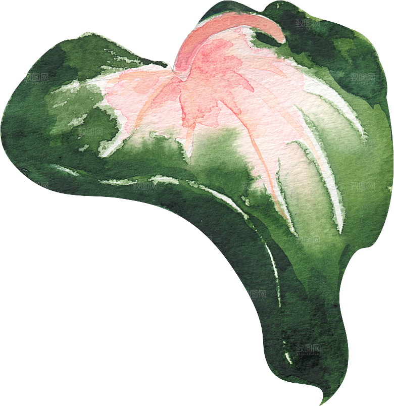 手绘植物花卉花朵复古元素