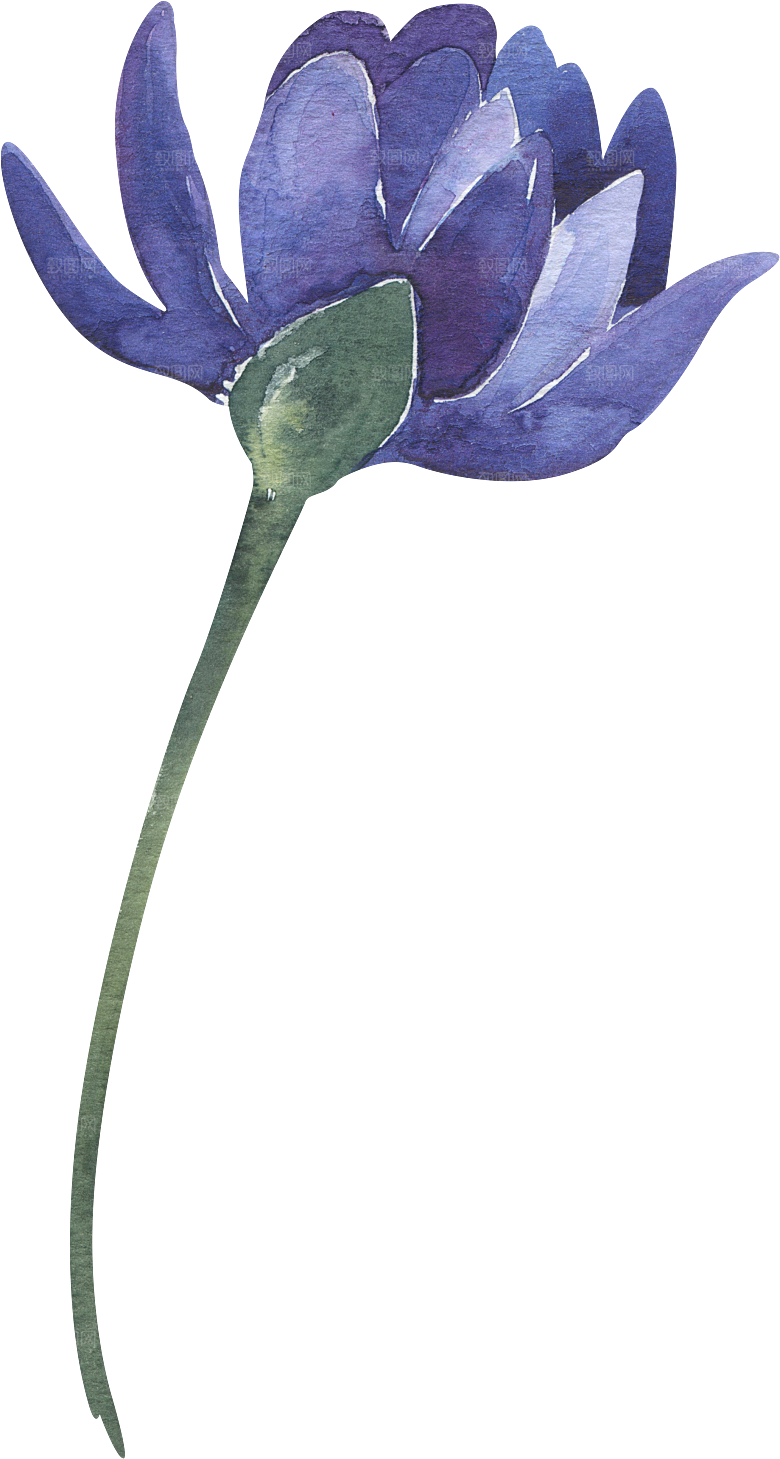 简约大气手绘花朵树叶PNG素材