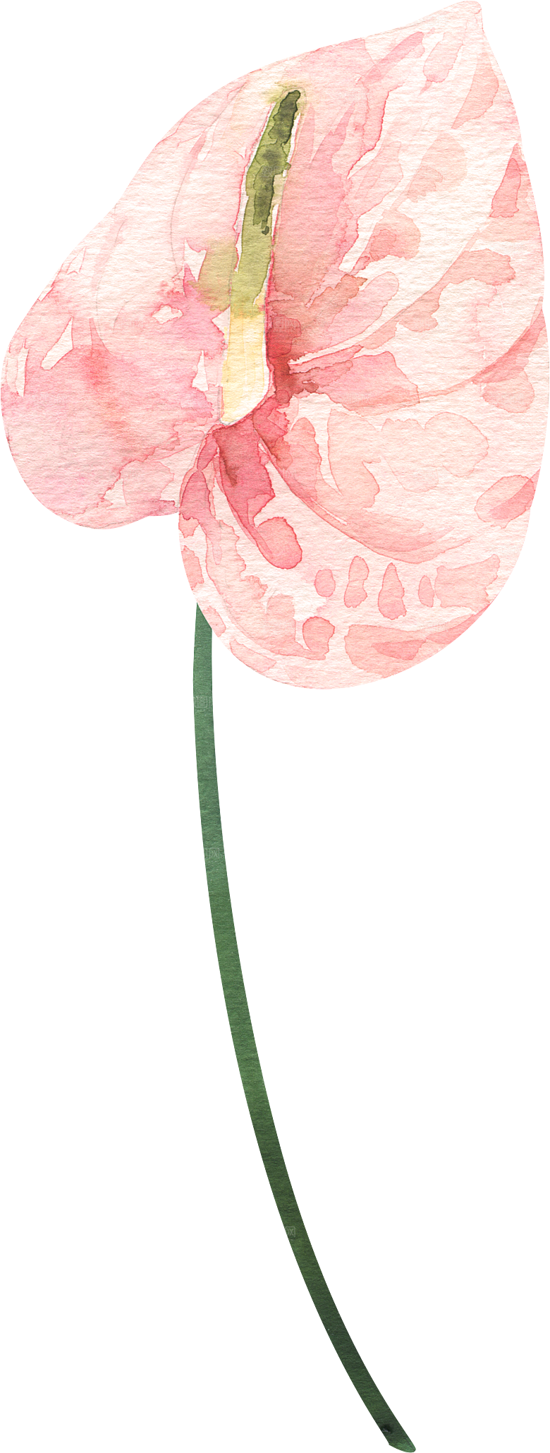 简约大气手绘花朵树叶PNG素材