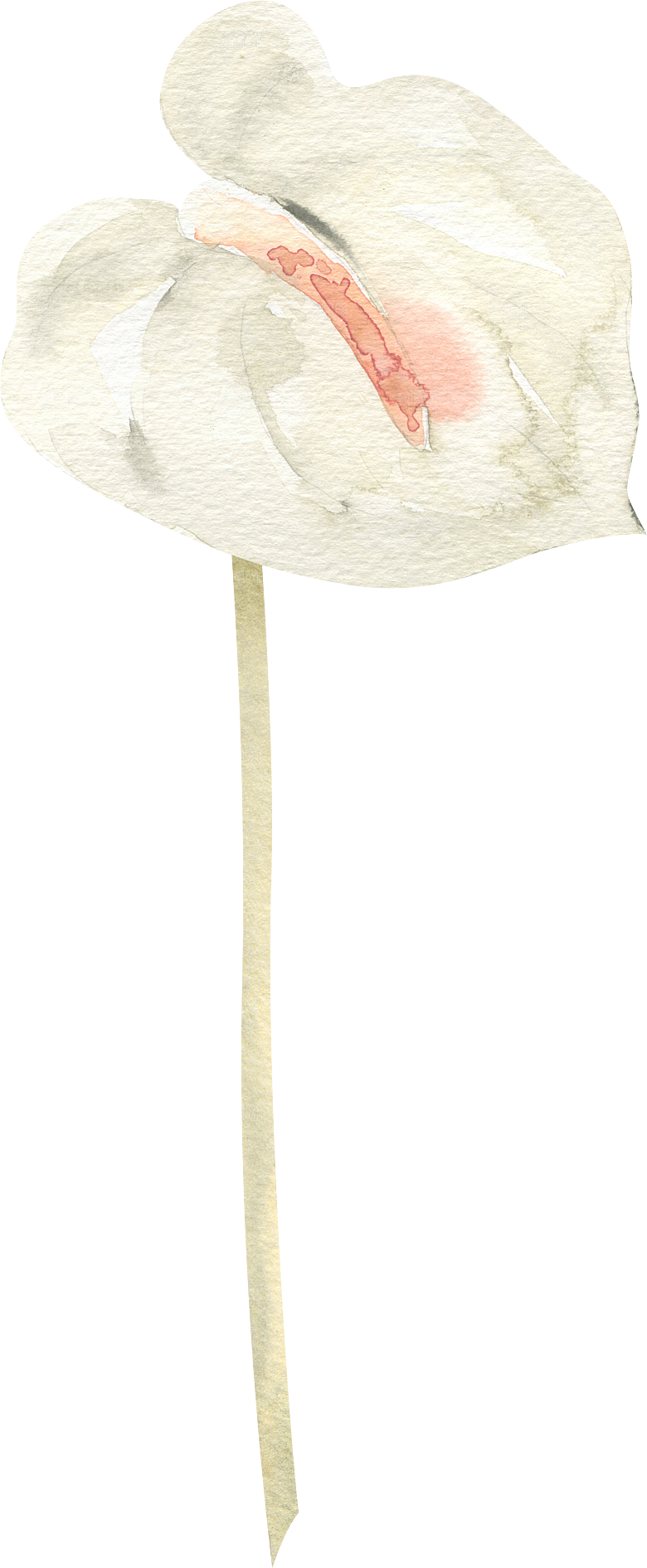 简约大气手绘花朵树叶PNG素材