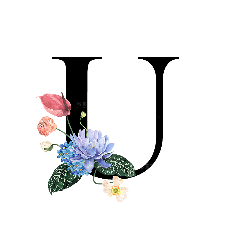 手绘植物花卉数字复古元素