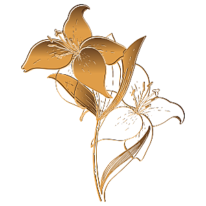 中式金边立体花卉牡丹元素