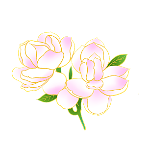 中式金边立体花卉牡丹元素