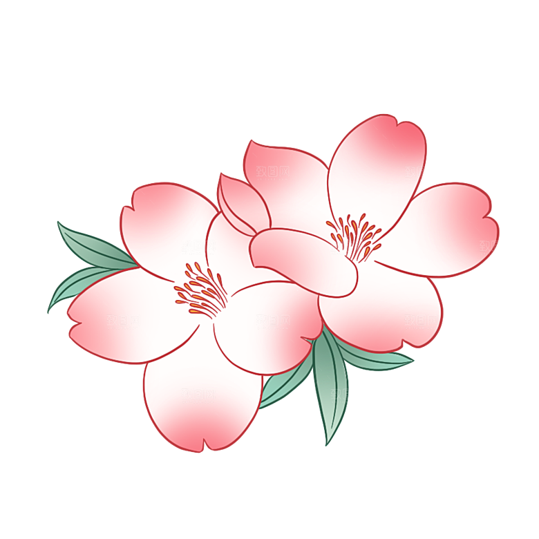 手绘装饰花卉牡丹免扣素材
