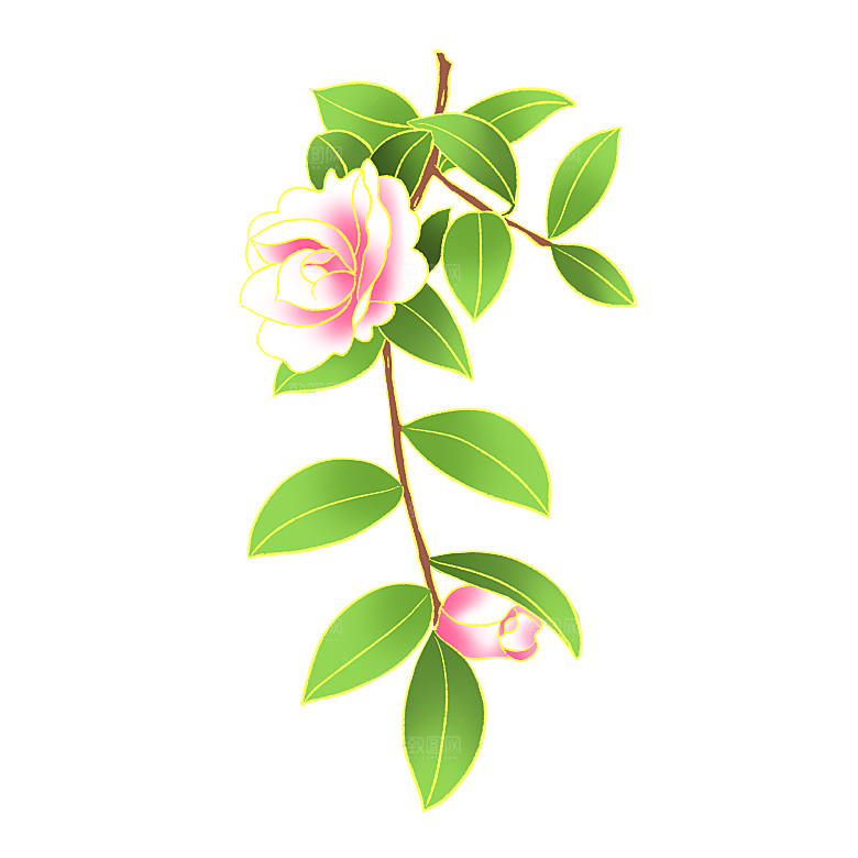 手绘装饰花卉牡丹免扣素材