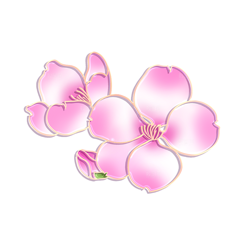 手绘装饰花卉牡丹免扣素材