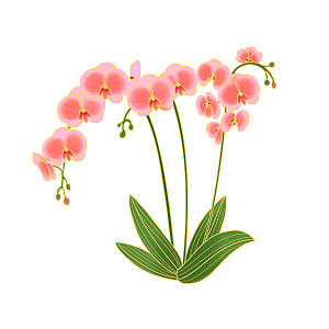 中式金边立体花卉牡丹元素