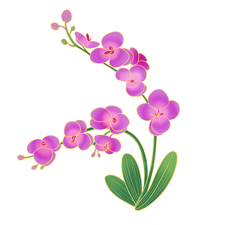 手绘装饰花卉牡丹免扣素材