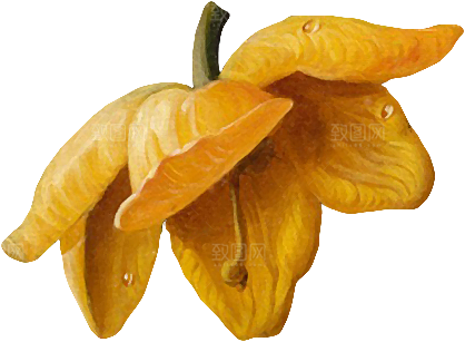 复古油画质感花卉鲜花元素