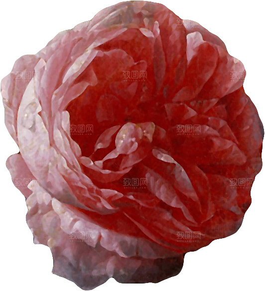 复古油画质感花卉鲜花元素