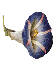 复古油画质感花卉鲜花元素