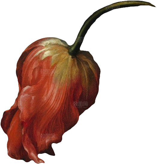 复古油画质感花卉鲜花元素