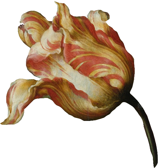 复古油画质感花卉鲜花元素