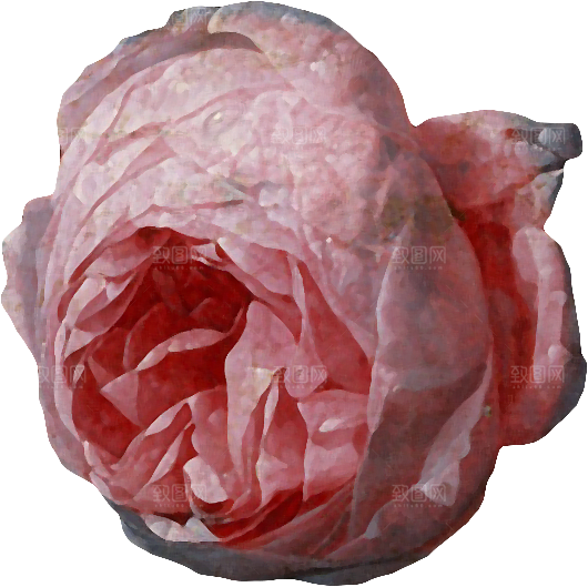 复古油画质感花卉鲜花元素