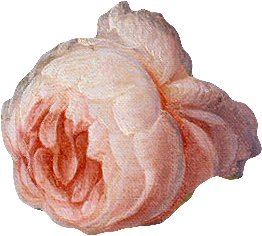 手绘装饰花卉牡丹免扣素材