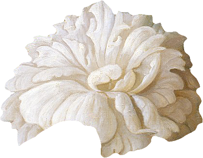 手绘装饰花卉牡丹免扣素材