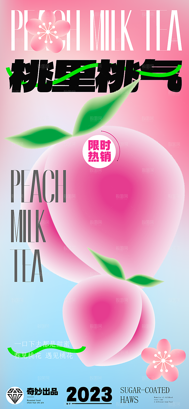 大气春天游玩宣传海报