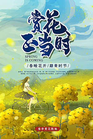 品质春天游玩宣传海报