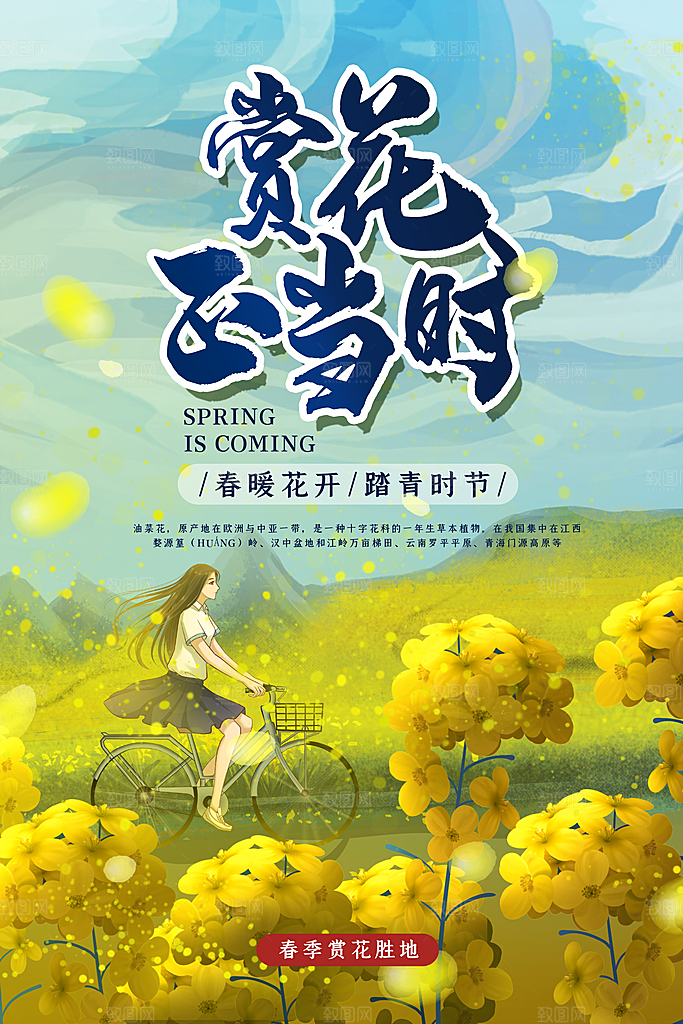 品质春天游玩宣传海报