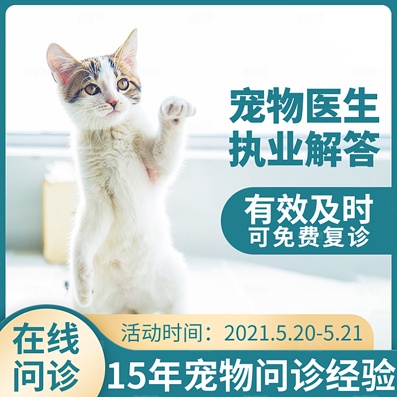 电商促销主图设计模板