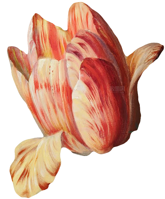 手绘装饰花卉牡丹免扣素材