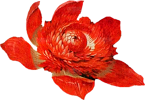 手绘装饰花卉牡丹免扣素材