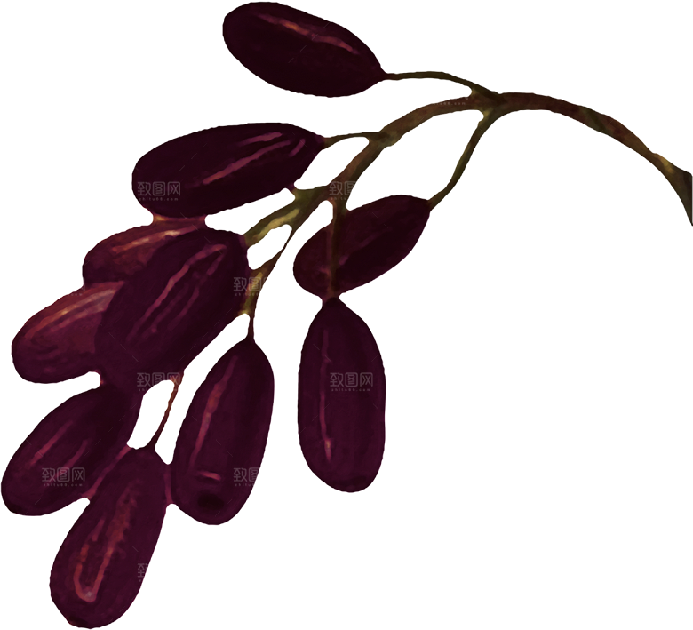 手绘装饰花卉牡丹免扣素材