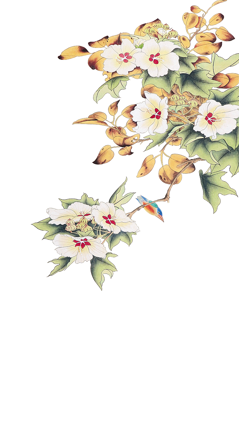 中式工笔画花卉牡丹梅花元素