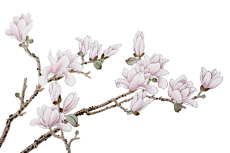 中式工笔画花卉牡丹梅花元素