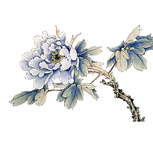 中式工笔画花卉牡丹梅花元素