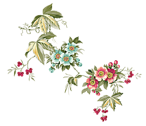 中式工笔画花卉牡丹梅花元素